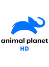 animal planet HD