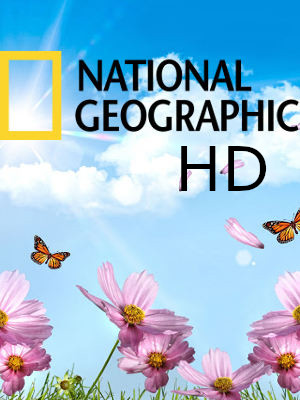 national geographic HD